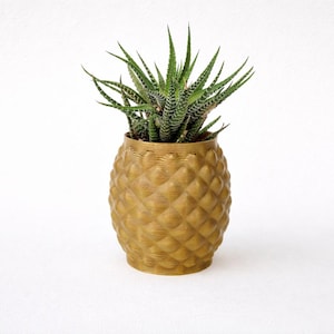 May include: A gold-coloured pineapple-shaped planter with a textured surface, containing a green and white succulent plant. The planter is a decorative item for indoor plants, adding a tropical touch to home decor.