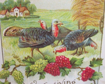 Unused 1910's-20's embossed gold gilded thanksgiving greeting postcard farmland with haystack turkeys grapevines