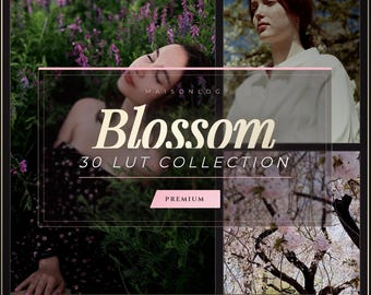 Cherry Blossom LUTs (.CUBE) — 30 LUTs | Pink Spring Sakura Color Grade • Japan Cinematic Look)