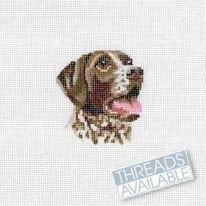 May include: A brown and white dog with a pink tongue sticking out. The dog is looking to the right of the image. The dog's head is the only part of the dog that is visible in the image.