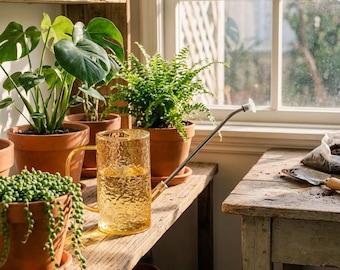 Clear Glass Indoor Watering Can, 34 oz Small Plant Waterer, Long Spout Shower Head