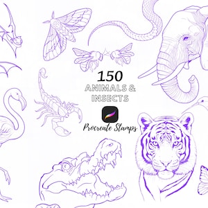 May include: A digital collection of 150 purple line art illustrations featuring animals and insects including a bat, moth, bee, snake, elephant, scorpion, flamingo, crocodile, tiger, hummingbird, and butterfly, labeled 150 ANIMALS & INSECTS Procreate Stamps.