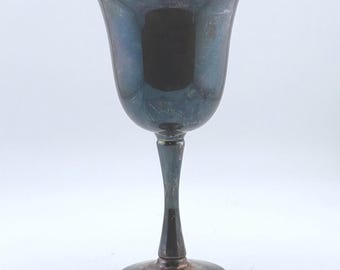 Salem Portugal Silver Plate Goblet Vintage Chalice Dark Iridescent Patina Goth