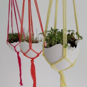 Puede incluir: Tres jardineras colgantes hechas de cáscaras de huevo blancas, cada una llena de vegetación. Las jardineras están suspendidas por cuerdas de macramé de colores en rojo, naranja y amarillo, con borlas a juego. Un elemento de decoración del hogar creativo y ecológico.