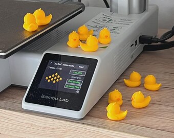 Mini Rubber Ducks