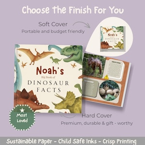 Libro de dinosaurios personalizado, lector de datos sobre dinosaurios personalizado, regalo de cumpleaños para niños pequeños, libro personalizado, libro de dinosaurios para niños, recuerdo educativo imagen 11