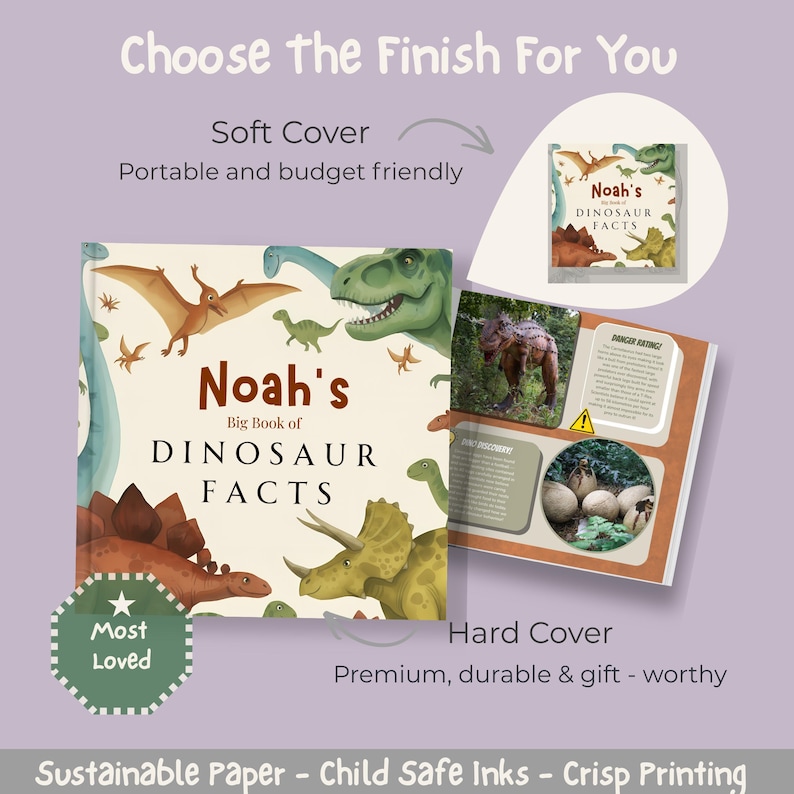 Libro de dinosaurios personalizado, lector de datos sobre dinosaurios personalizado, regalo de cumpleaños para niños pequeños, libro personalizado, libro de dinosaurios para niños, recuerdo educativo imagen 11