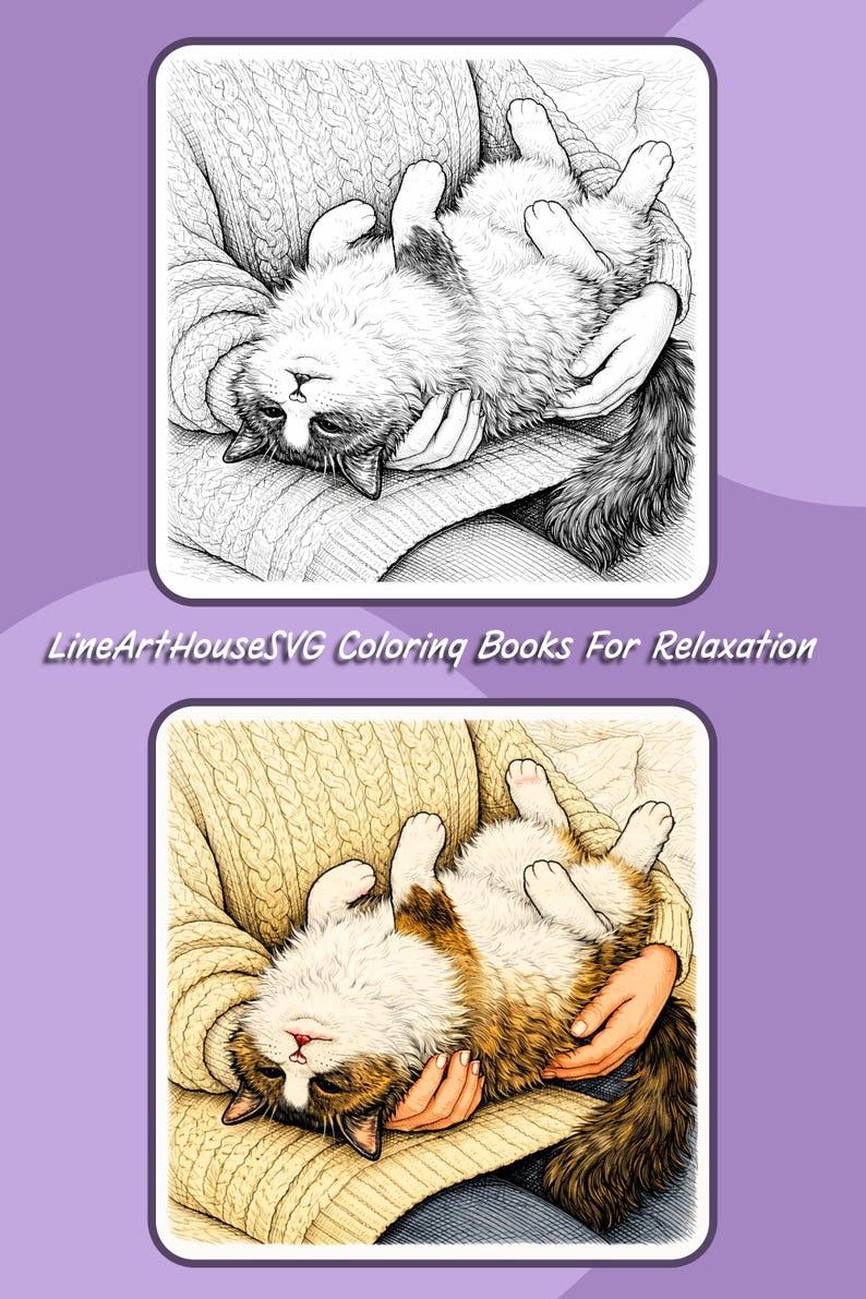 Cozy Ragdoll Cat Coloring Book, Printable Coloring Pages, Digital ...