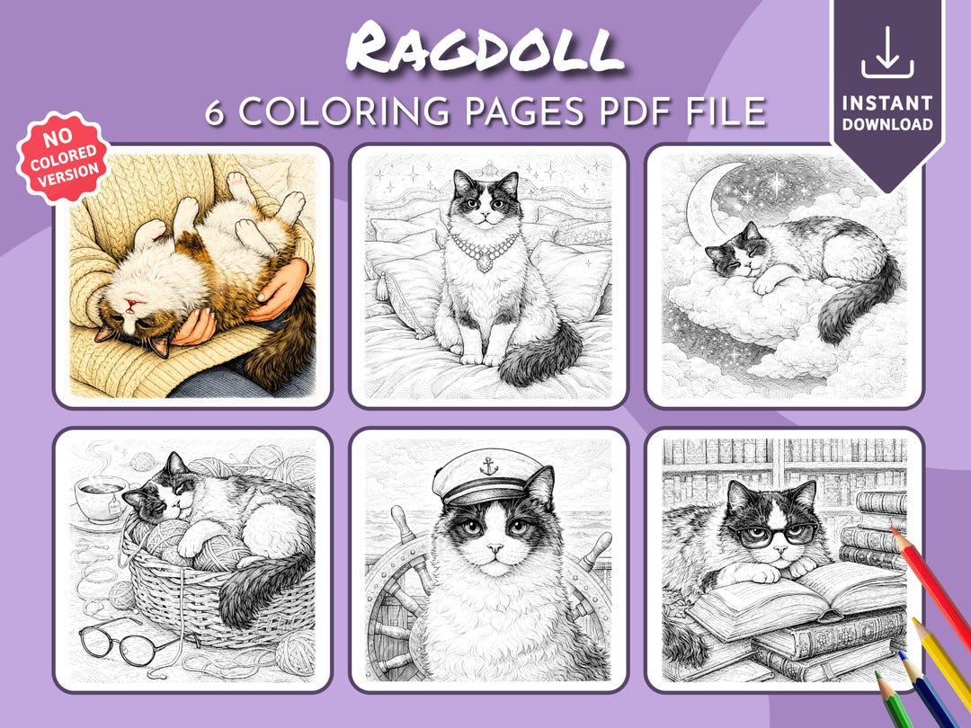 Cozy Ragdoll Cat Coloring Book, Printable Coloring Pages, Digital ...
