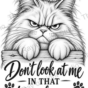 Grumpy Cat Laser Engraving File | Kitty "Don't Look at Me In That Tone of Voice" Laser Ready SVG Dxf PNG PDF | Glowforge LightBurn xTool
