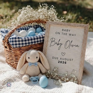 May include: A baby announcement scene with a woven basket filled with white and blue balls, a knitted bunny with a blue bow tie, and a sign that reads "Baby Olivia Due August 2026".