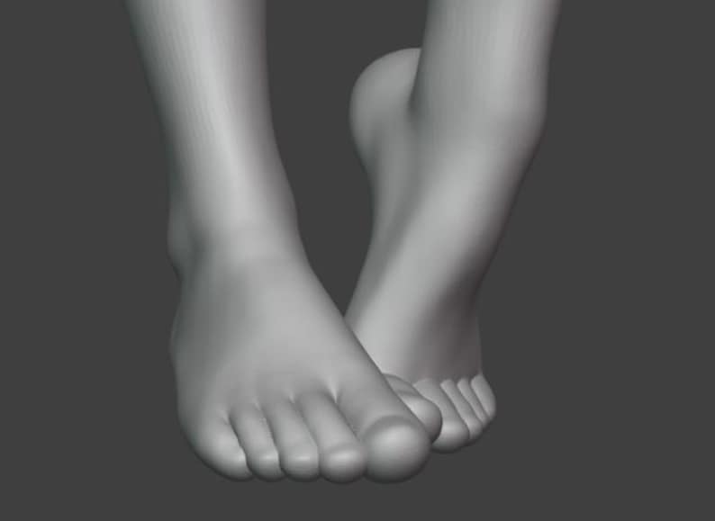Peut inclure: Rendu 3D en niveaux de gris de deux pieds humains. Les pieds sont positionn&eacute;s avec un pied devant l'autre, les orteils du pied avant &eacute;tant visibles. L'image est sur un fond gris uni.
