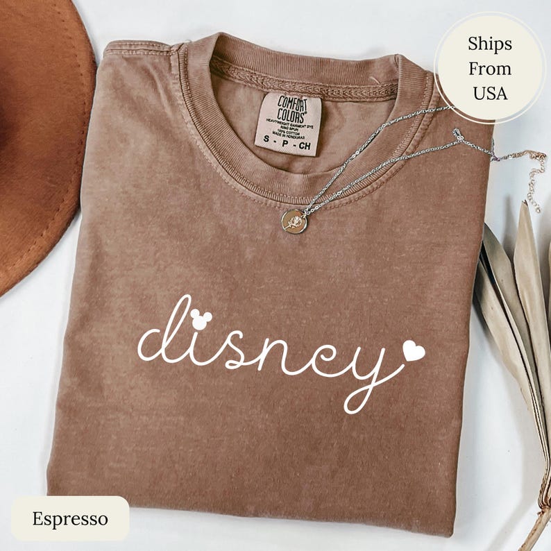 Camiseta de Disney, camiseta de Disney World, sudadera unisex, sudaderas de Disney, camiseta de viaje de 2026, regalo de Disney, camiseta de vacaciones familiares imagen 8