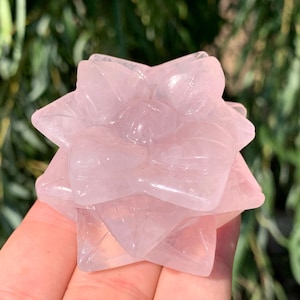 Quartzo rosa natural de 2,1 polegadas (5,3 cm), cristal de quartzo, esculpido à mão, suculenta de cristal, caveira de suculenta, presente de cristal (1 peça)