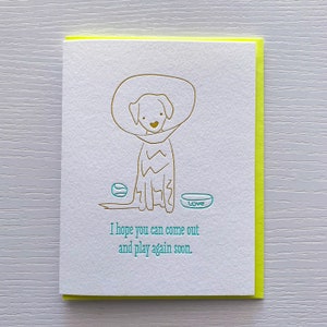 Commande personnalisée, carte de rétablissement pour chien, chien portant un cône
