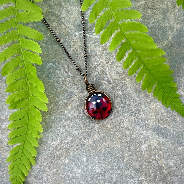 Ladybug Necklace, Cottagecore Necklace, Ladybug Jewelry Minimalist Nature Necklace for Women Unique Gift for Her, Lady bug Pendant
