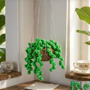 May include: A handmade crochet hanging basket with a green, string-of-pearls-style plant. The plant is suspended by three beige cords. The basket is brown and has a woven texture. The plant's bright green color contrasts with the neutral tones of the basket and cords.