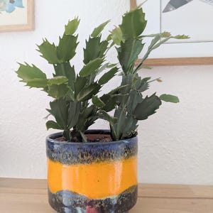 Könnte beinhalten: Ein grüner Schlumbergera-Kaktus mit segmentierten, gezackten Blättern in einem zylindrischen Keramiktopf. Der Topf hat eine glänzende Glasur mit einem breiten horizontalen Band in leuchtendem Orange zwischen dunkelblauen und schwarz gesprenkelten Bereichen.