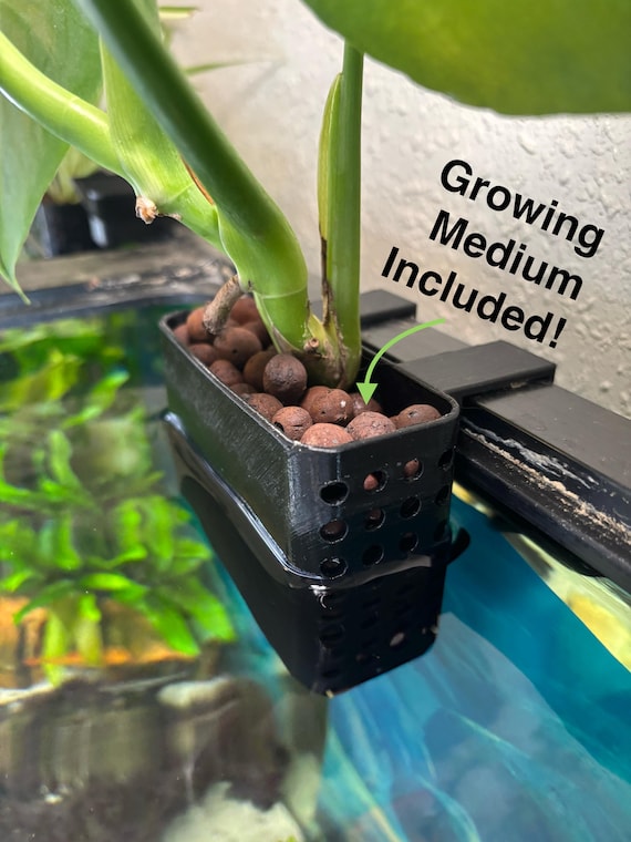 Aquarium Plant Holder with LECA | Hydroponic Fish Tank Plant Holder | Riparian House Plant Holder | Aquaponic Pothos Planter