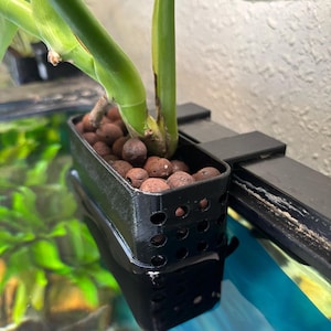 Aquarium Hydroponic Plant Basket - Includes LECA Pellets | Aquaponic House Plant Holder