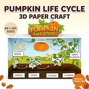 May include: A 3D paper craft showing the pumpkin life cycle, from seeds to green pumpkin. The display includes the text "PUMPKIN LIFE CYCLE 3D PAPER CRAFT" and "A4 + USL SIZES". Stages are labelled: seeds, sprout, vines, flower, and green pumpkin.