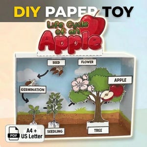 Apple Life Cycle 3D Diorama Craft | Printable STEM Activity for Kids | Seed to Fruit Sequencing Project | Preschool Homeschool Science Decor