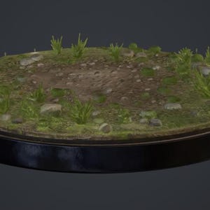Peut inclure: Un socle de présentation circulaire doté d'une surface texturée aux tons terreux, recouverte de touffes d'herbe verte, de petits cailloux et de détails moussus. La base présente un rebord poli brun foncé qui entoure le terrain miniature.