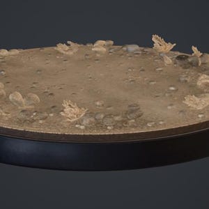Peut inclure: Un socle d'exposition circulaire doté d'une surface texturée couleur sable, incrustée de petits galets gris et de structures végétales séchées beige clair disposées sur le pourtour, reposant sur un rebord cylindrique noir uni.