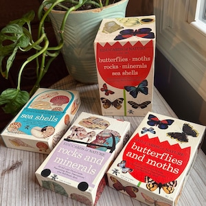 May include: Four vintage EduCards of Nature boxes. The boxes feature illustrations of butterflies, moths, rocks, minerals, and seashells. The boxes are on a light-colored wooden surface, with a potted plant in the background.