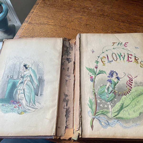 Antique 1847 First American Edition Book-The Flowers Personified- Anthropomorphic Flowers- Grandville, N. Cleaveland- Rare Old Botany Book