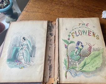 Antique 1847 First American Edition Book-The Flowers Personified- Anthropomorphic Flowers- Grandville, N. Cleaveland- Rare Old Botany Book