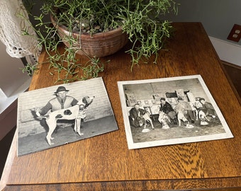 Vintage Pair- Black & White Photos Hunting Dog Competition- Hound Dogs- Friskies Dog Competition- Vintage Dog Photos- Hunting Dogs- Vintage