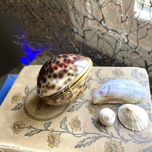 Vintage Real Seashell Trinket Box/ Jewelry Box/ Ring Box- Seaside Wedding Ring Box- Vintage Coin Purse- Cowrie Shell- Mermaid Box- Shell