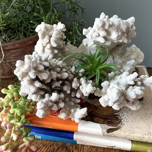 Vintage Large Natural White Coral- Thick Branched Stony Coral- Beach House- Nautical Decor-Natural History- Sea Coral-Cabinet of Curiosities