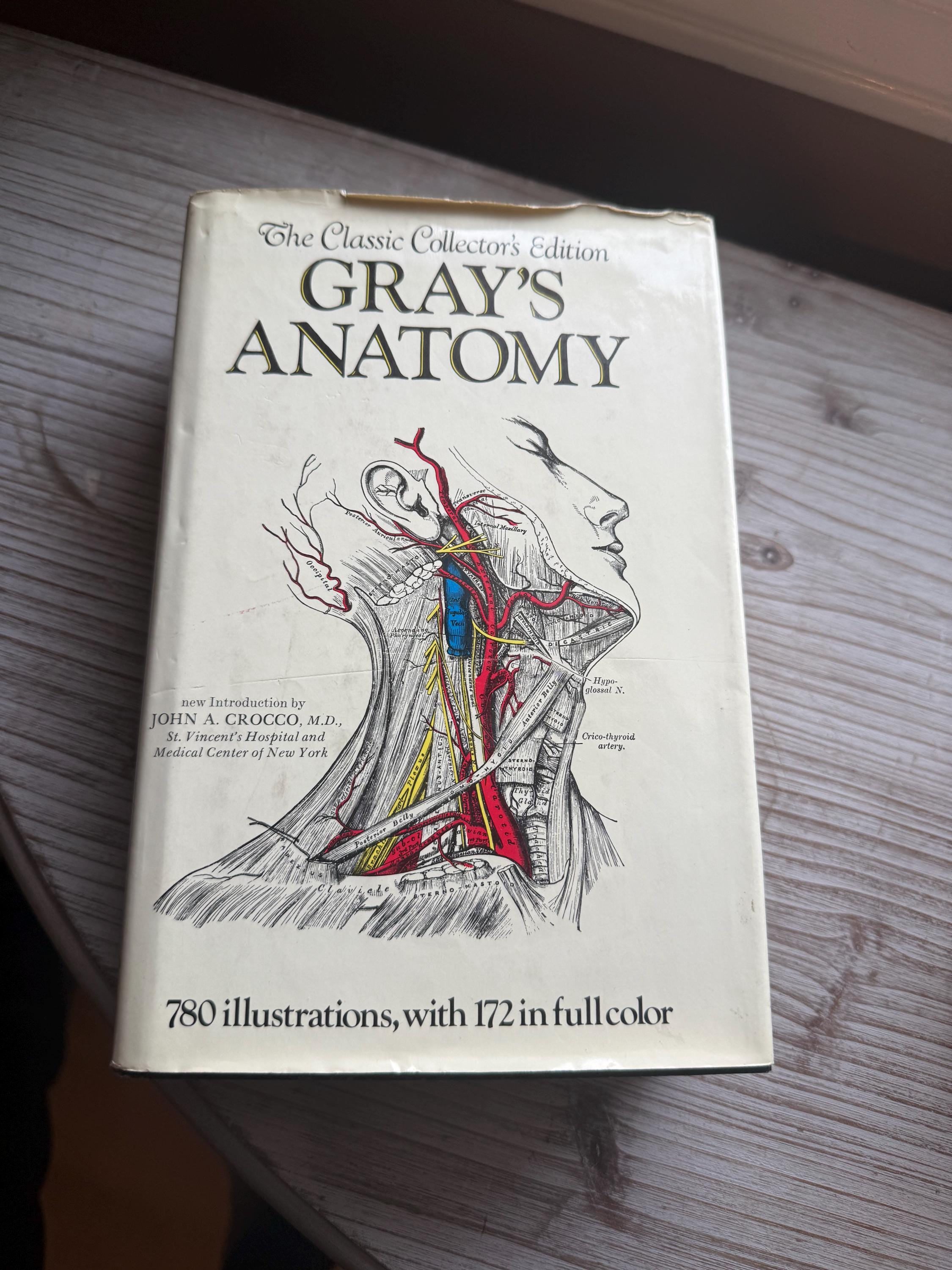 Grays Anatomy Book Vintage - Etsy