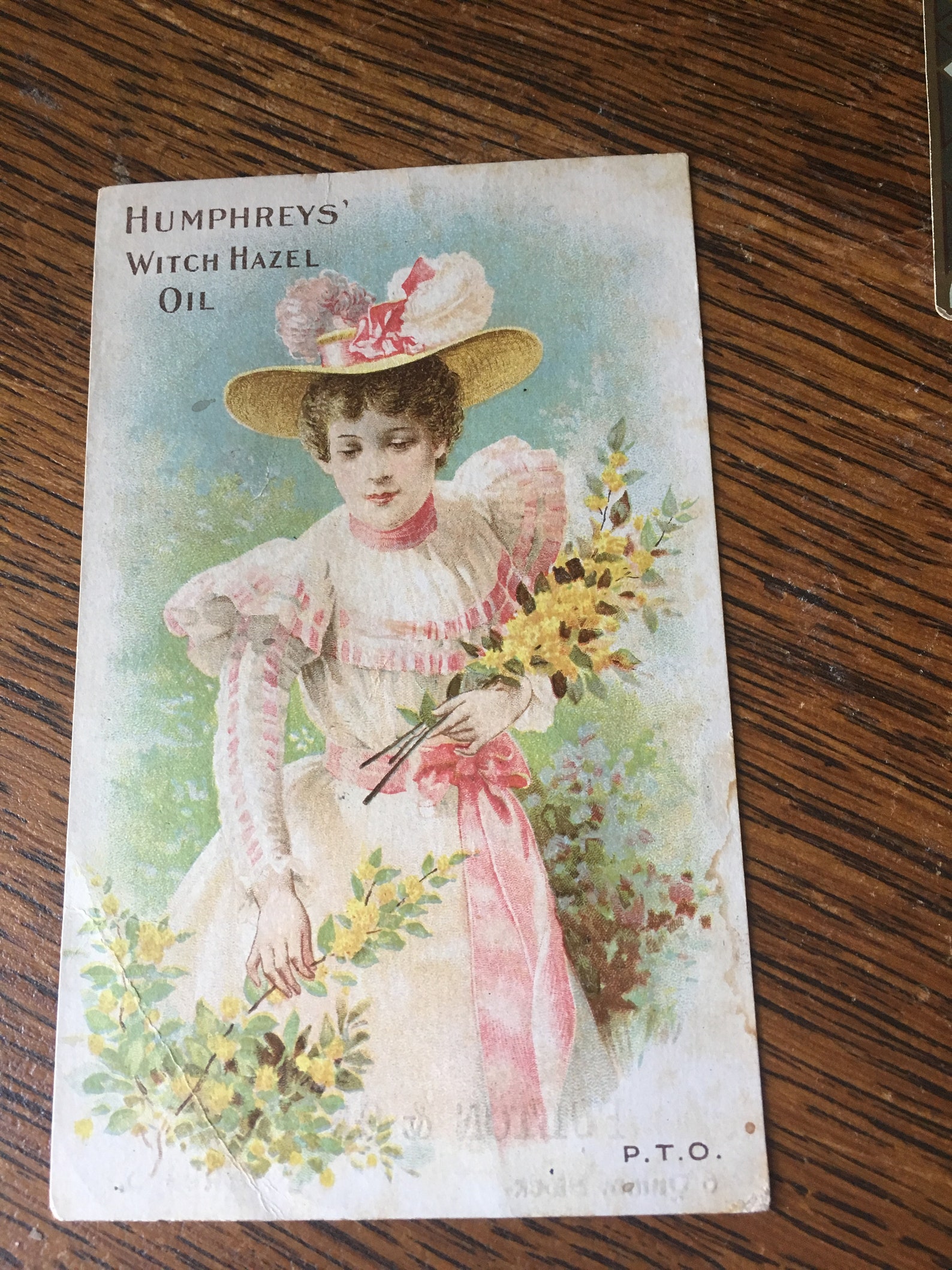 Vintage Trio of Victorian Advertisements Humphreys' Witch - Etsy