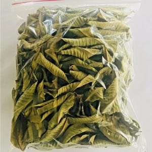 May include: A transparent plastic bag containing dried, light brown leaves. The leaves are textured and elongated. The bag is sealed with a red zip closure. The leaves are likely a natural product, possibly for herbal remedies or teas.