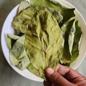 May include: A close-up shot of dried green leaves, with one leaf held by a hand. The leaves are in a white bowl. The leaves have visible veins and a textured surface. The leaves are a muted green colour.