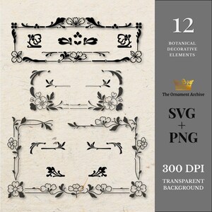 Minimal Floral Borders Vintage Botanical Frames Simple Flower Clipart Decorative Elements