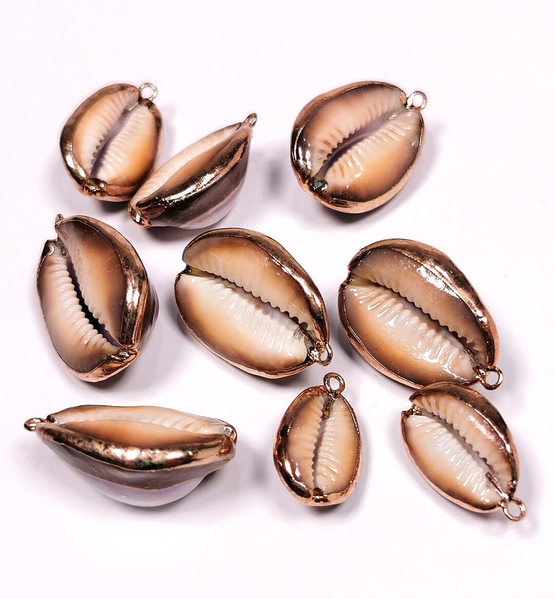 Set of 9 Cowrie Shells With Gold Plating, Shell Pendants for DIY ...