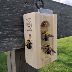May include: A wooden bee house with a clear front, hanging from a black metal hook. The bee house has the text "Shiloh Creek Woodworks" and contains several bees. The background shows a wooden fence and green grass.