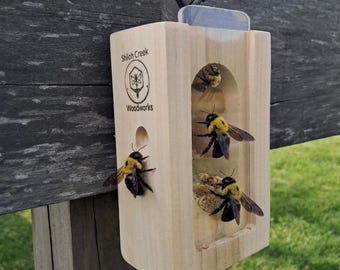 Bee trap non treated reclaimed poplar wood