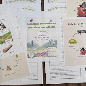 Unidad de los Insectos en Español para Kindergarten y Primer Grado – Ciencias, Matemáticas y Lectoescritura