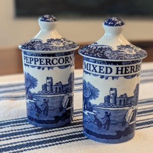 Spode Blue Room Spice Jars - Etsy