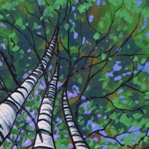 Close up of tree canopy of three large birch trees in birch tree painting.