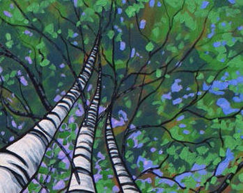 Close up of tree canopy of three large birch trees in birch tree painting.