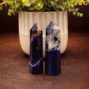 May include: Two blue sodalite crystal towers with white veining and accents. The crystals are hexagonal and stand upright on a brown surface. A potted plant with green leaves is in the background.