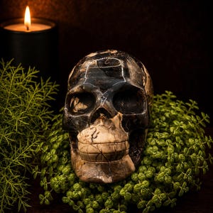 May include: A polished stone skull carving featuring a dark brown and black marbled pattern with lighter beige sections on the jaw and cranium. The skull is resting within a cluster of small green leaves, with a lit candle visible in the background.