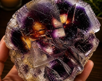 Fluorite de poche cerise, mine de Yindu, Mongolie-Intérieure, spécimen de cristal de fluorite rouge violet naturel, présentoir de collection en fluorite, minéral brut