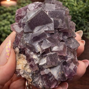 Peut inclure: Gros plan sur un amas de cristaux de fluorite violets. Les cristaux cubiques pr&eacute;sentent des nuances de violet. La pierre brute naturelle est tenue dans une main, mettant en valeur sa forme et sa texture uniques. Les cristaux sont translucides.